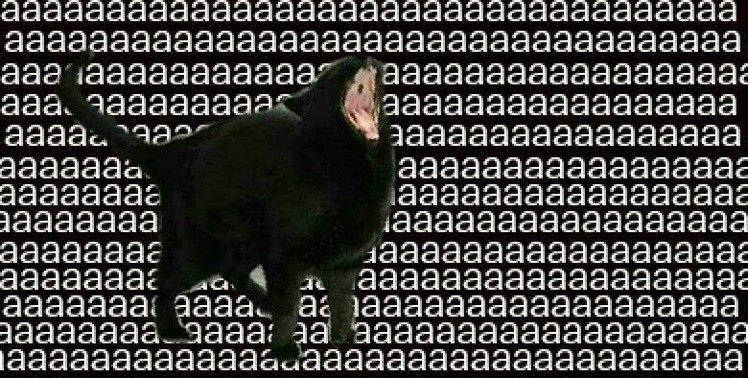 Que?