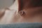 close-de-uma-mulher-usando-um-lindo-colar-de-prata-com-um-pingente1_60x60