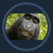 4444