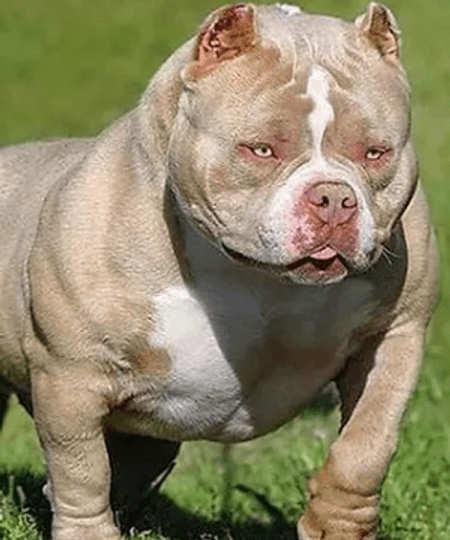 teste ordem de tamanho