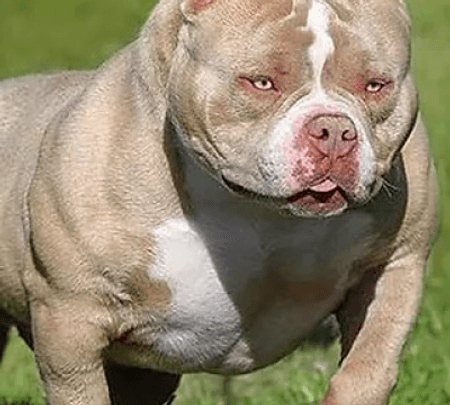 teste ordem de tamanho