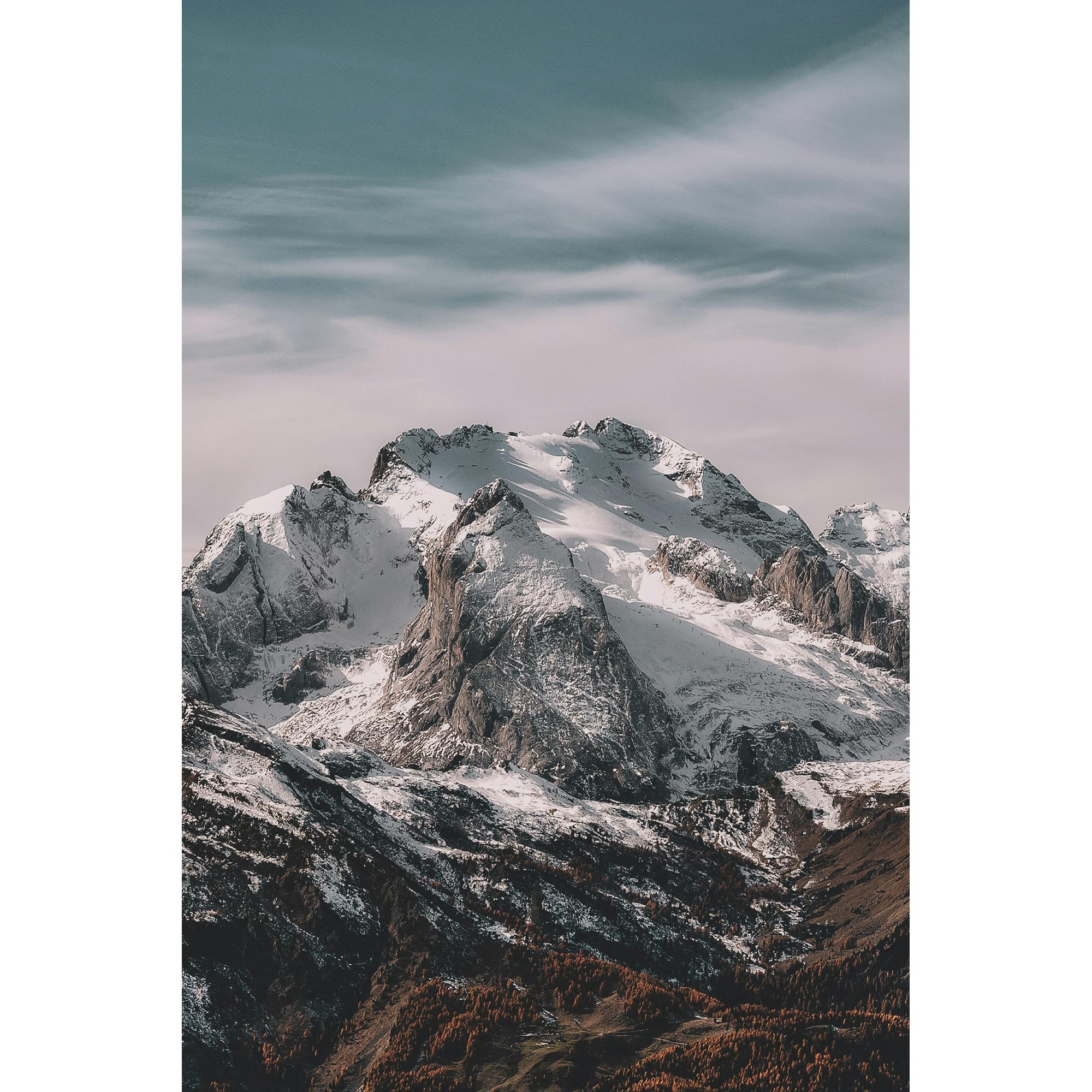 pexels-eberhardgross-1366919