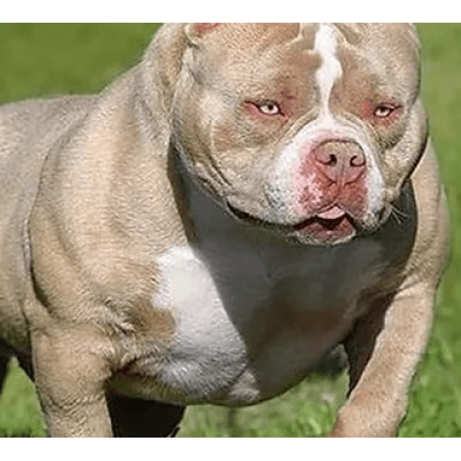 teste capa de variação