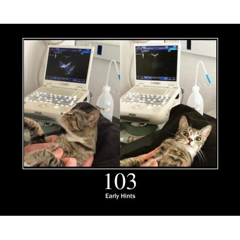103