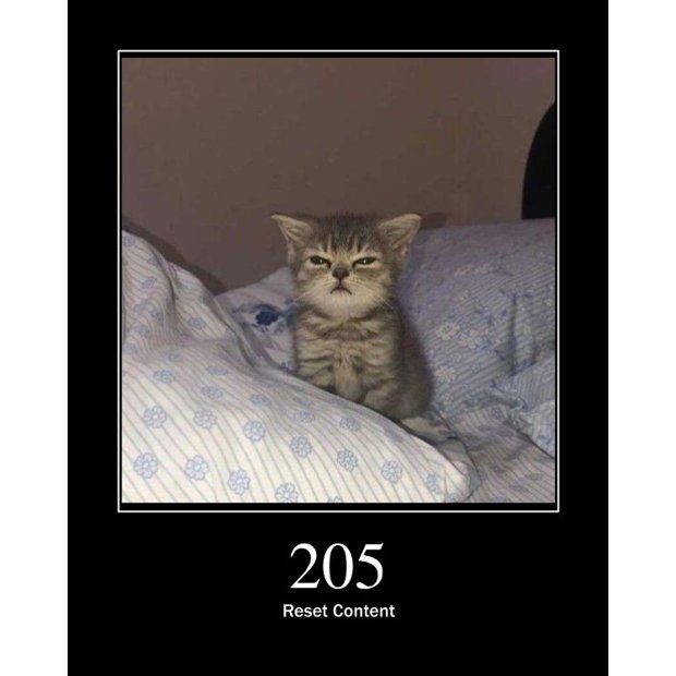 205
