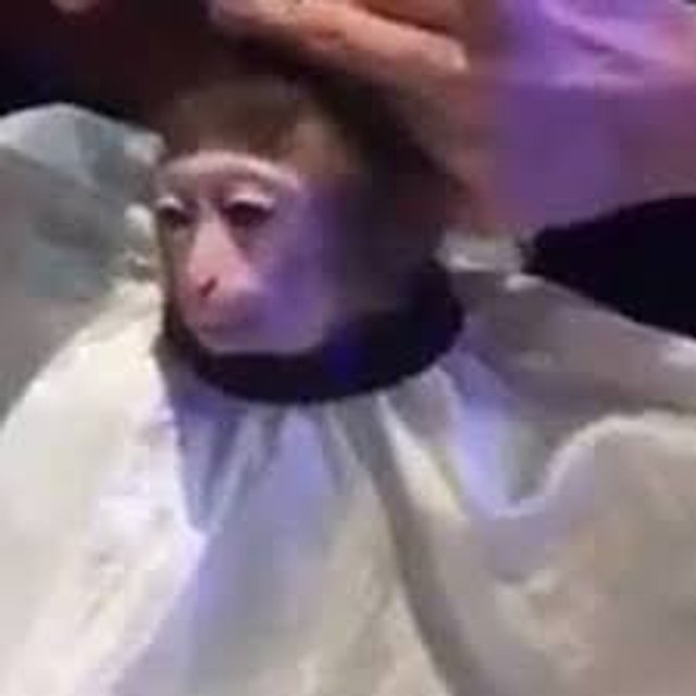 Produto Simples