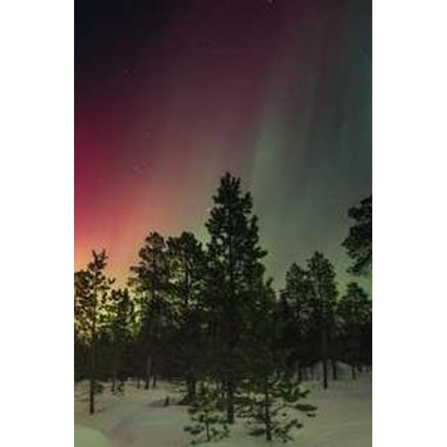 Estojo de Óculos Personalizado