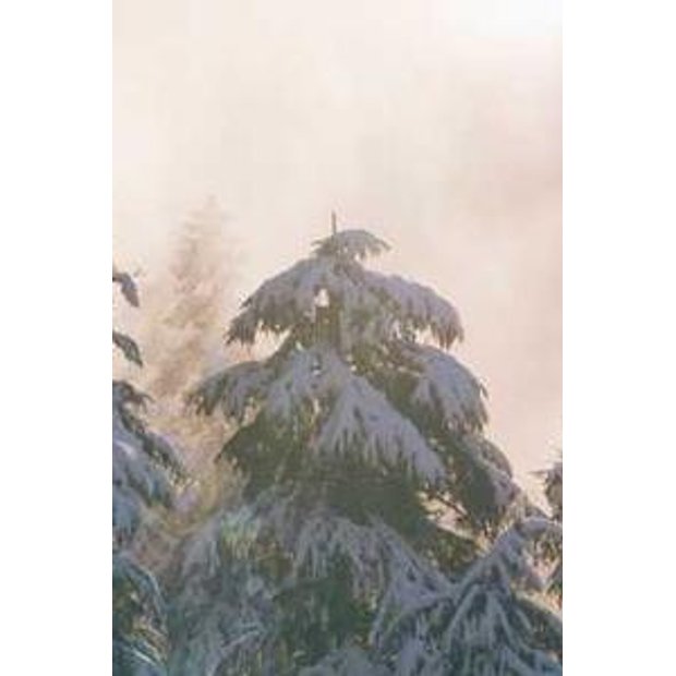 2m1lq9umkfdplfn65gixz4hivndunteqrcia