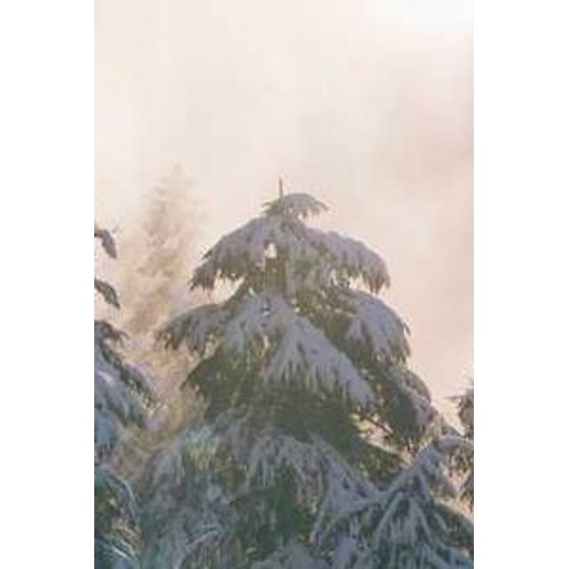 Estojo de Óculos Personalizado