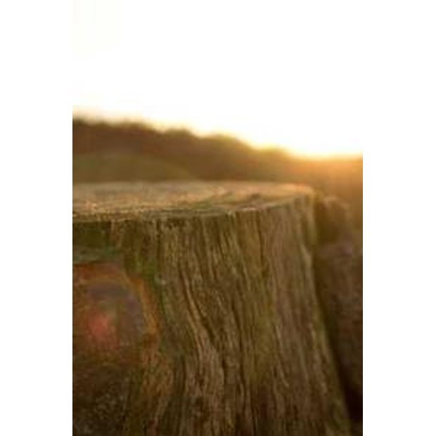 3vc9cfsjdt8xnqq3thuyfvhcuwqtxaujuyoj