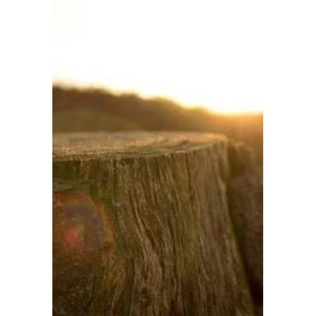 Estojo de Óculos Personalizado