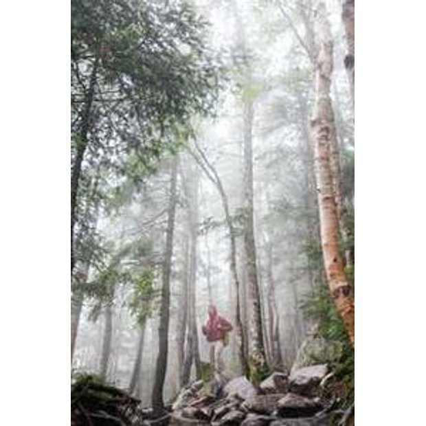 3wezavaoyab12xp5hunji6tze5qcybrlw4rt