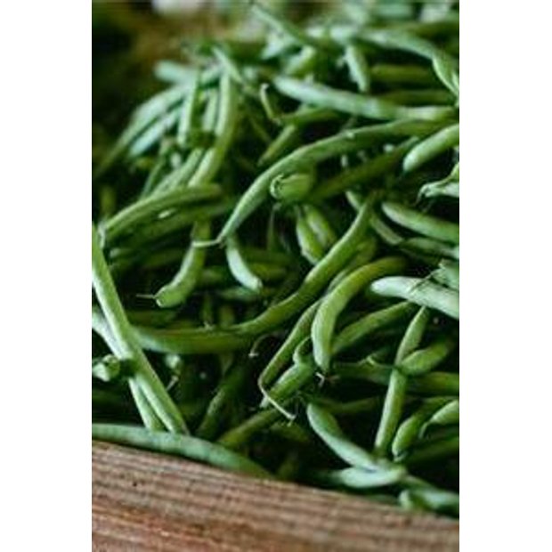 4v3qjuryzbalms8ipk8bugmndarhpjwp7ke5