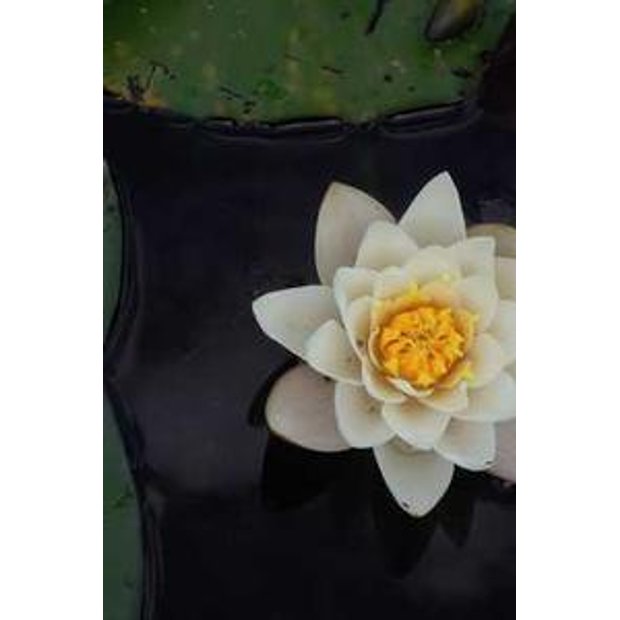 5utnbtdth2fsabjpx0z3jrru3vbs4conldew