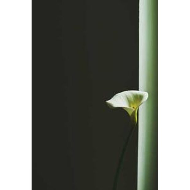 65jumcmvhciciaxs5tuc6dbx41z9tbudpptp