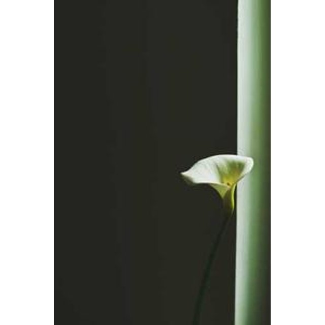 Estojo de Óculos Personalizado