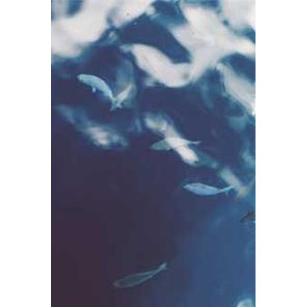 81mzxa3kasg2eagmgfxg0nw61qd6xybloplb