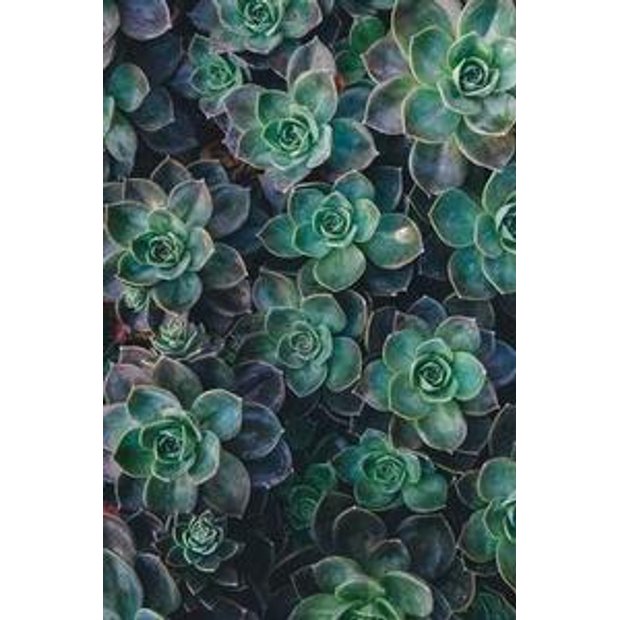 9c4wjhhxafwk7tgurhzkazserwqrmehuxqxo