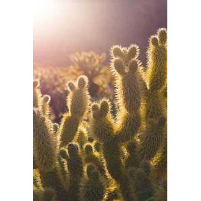 Estojo de Óculos Personalizado