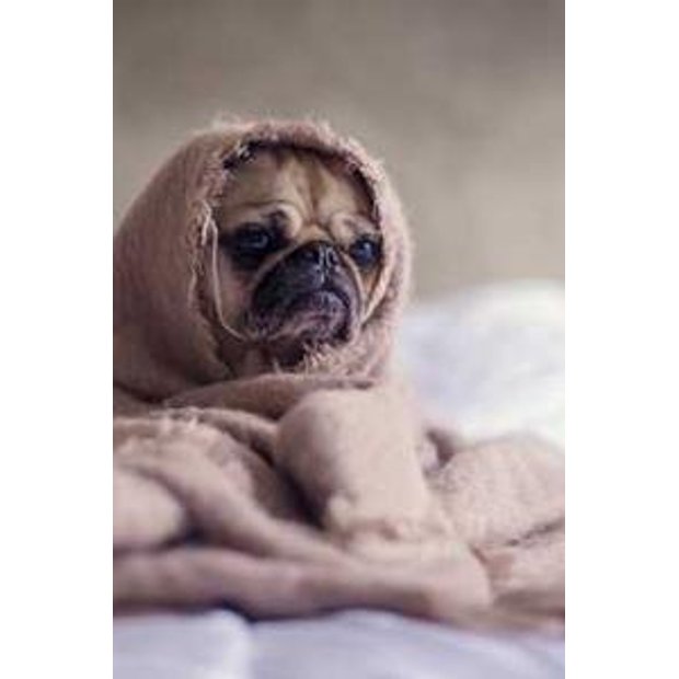 anuylee93vkg057rlblxsj4zltsv35wyi9fu