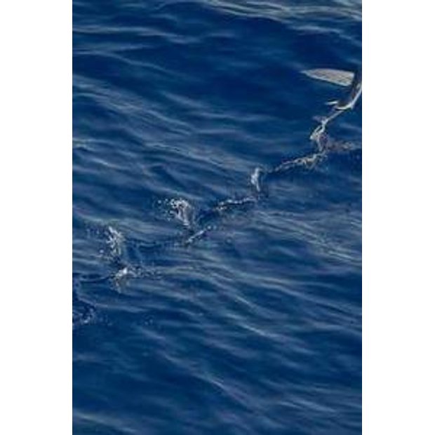 az9cmffd7qmhsvw2njmpvfl71xkhp52cg1ef