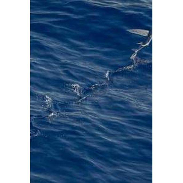 Estojo de Óculos Personalizado