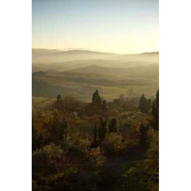 dnh8dhcyay3gwixn5jdvm9sqi6un18wu1fgk