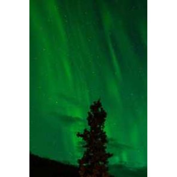 dqtg9jfbvu5hkgvfhsj2kxvucilf6t2h6aer