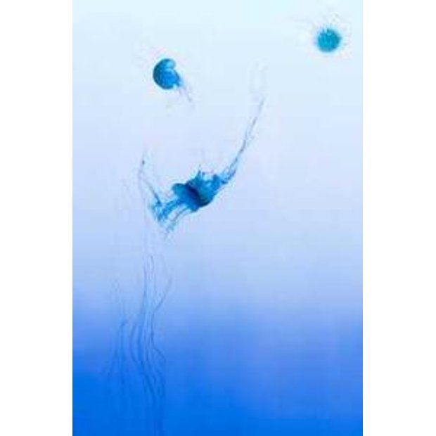 eyr9z3ftkgnxnaxe6hanidk3vbdlxvyz9dtx