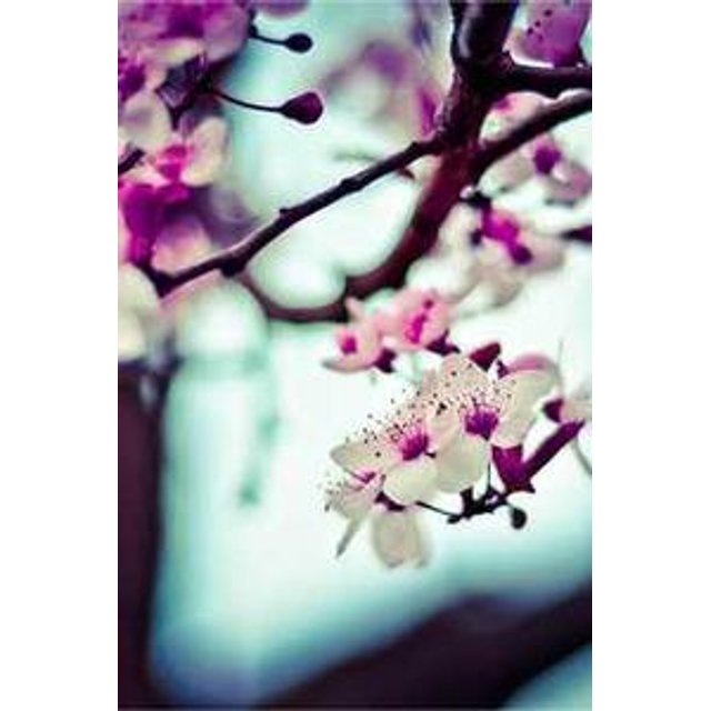 Estojo de Óculos Personalizado