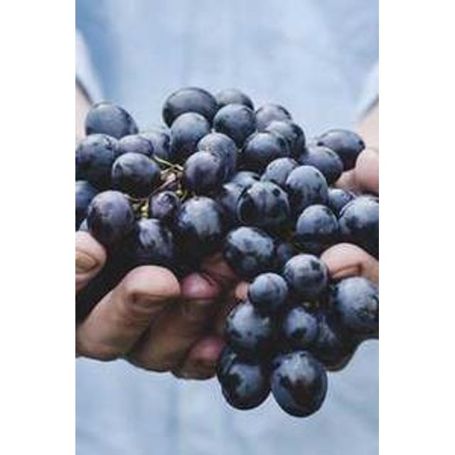 Estojo de Óculos Personalizado