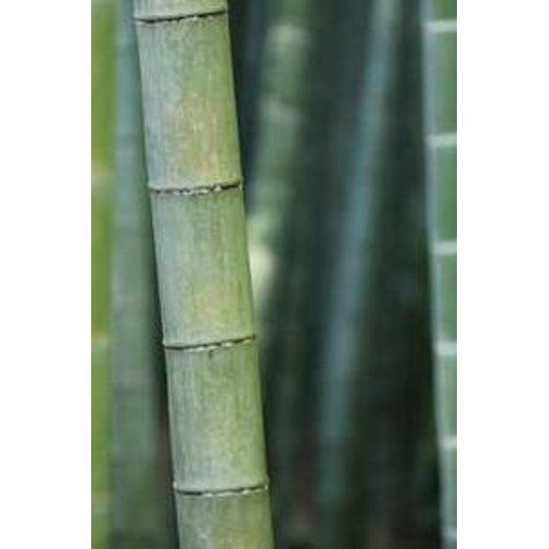 gb6fcy2dzikfrwkkcqvaxtwmn7cfaln3liel