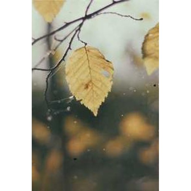 gpubqjgd0xjthdqnejgxgiyw0mmwisqf4k3h