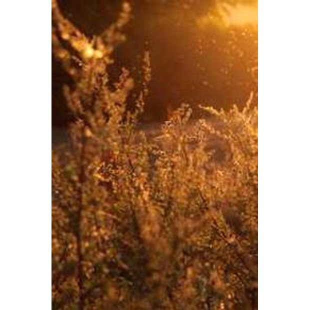 h3m0a8yq56wbu5o95kueychies0frpa9gml7