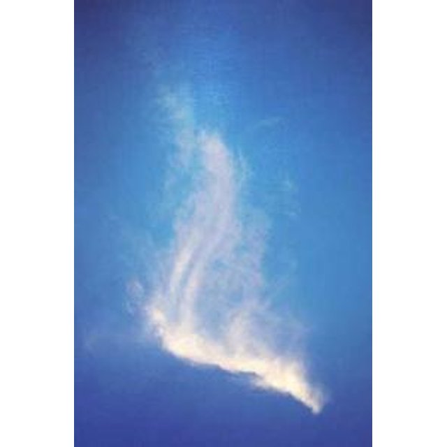 Estojo de Óculos Personalizado