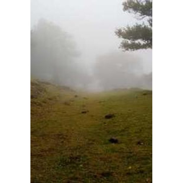 jfvopk7phbvlxqaxra1gvuyjhwe4yazlm577