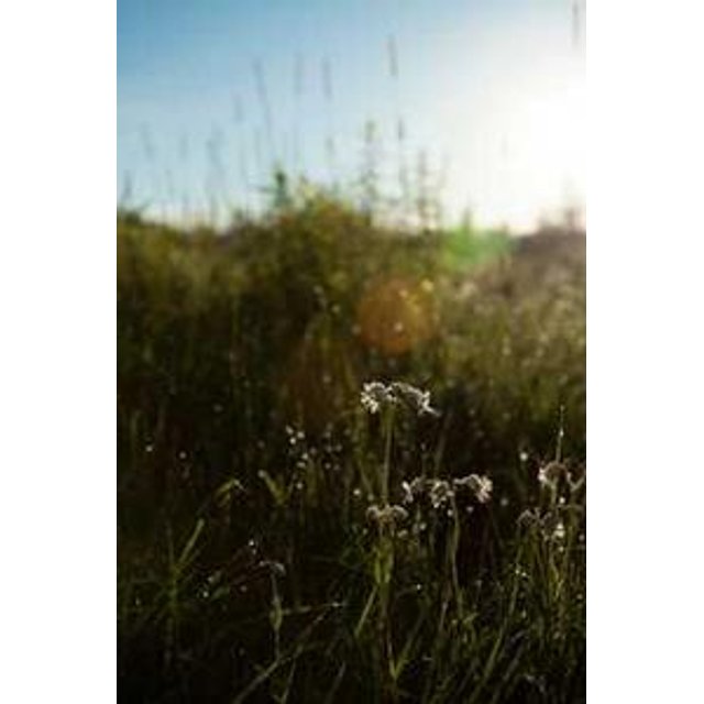 Estojo de Óculos Personalizado