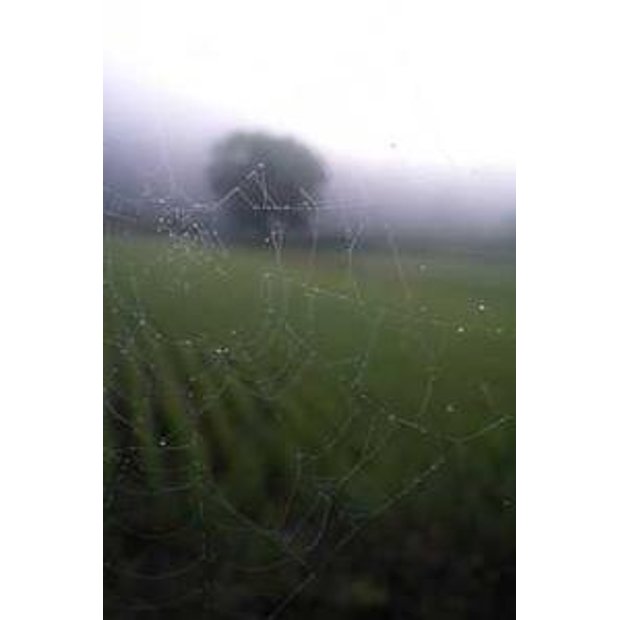 lqxwsaau4dbefazbx0lytygkb4svr0ygmb0o