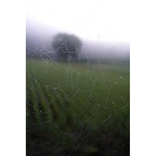 Estojo de Óculos Personalizado