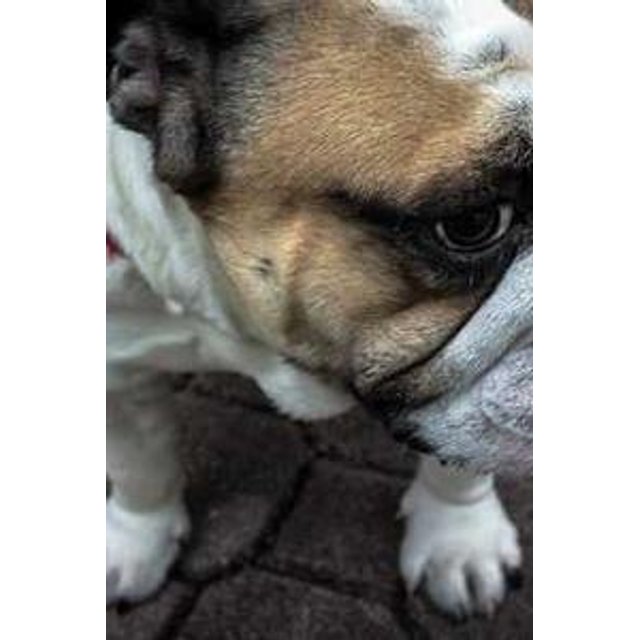 Estojo de Óculos Personalizado