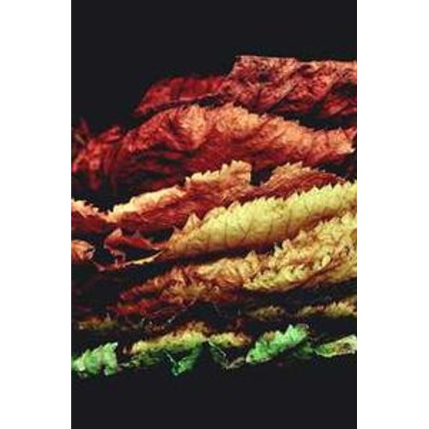 mxvkjnof4pdu2lxsgo1h9nvzzt3m32yf92d2