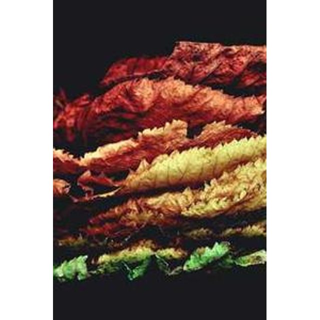 Estojo de Óculos Personalizado