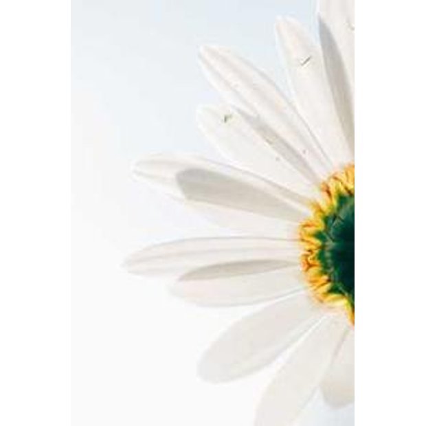 nrpq8oa2zvqhaxupl3egpmnfgjolum4catch