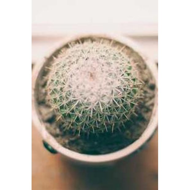 nxjk4cdwiw9ocdzkj5lcq0k4hpz7th7ja6a7