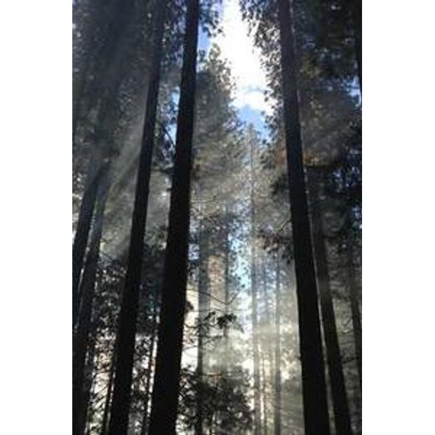 qfrhms8rummwv9755dyqfpljn1y8fe477go4