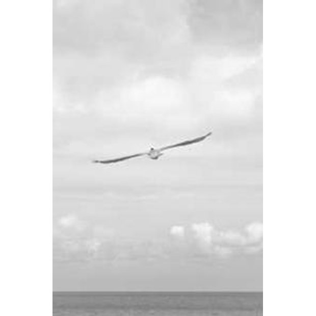 rxv6namohj5lephxxewxo9f1ds8we49cm5ia