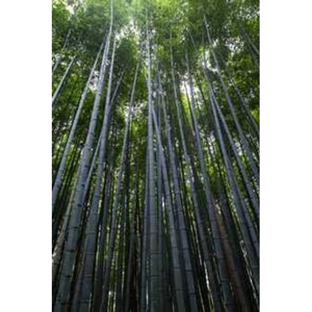 s6nl0vnckod44ydbze9pdlrbshdwg9yhjcwz