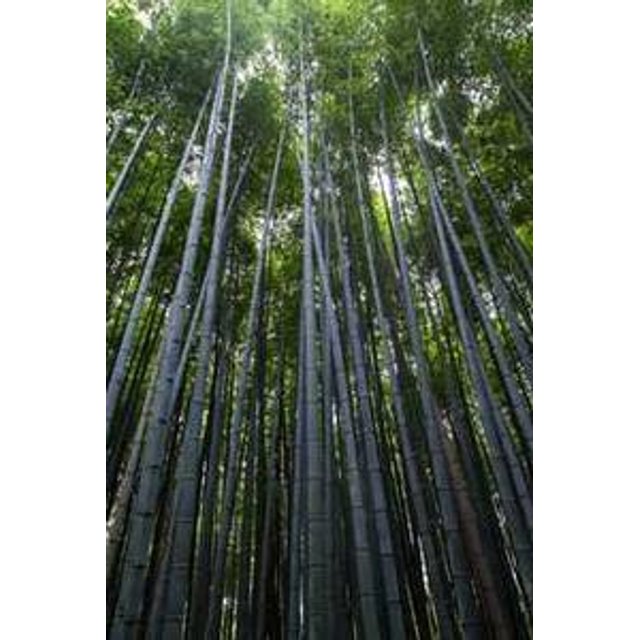 Estojo de Óculos Personalizado