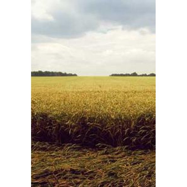 sjbpnbrk23j5i9bmtiuoqtycpfpcxt9rjn1l