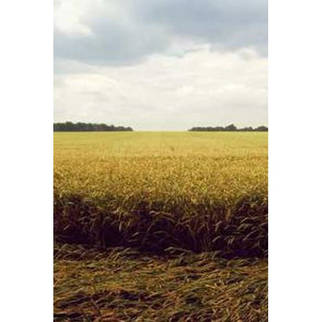 Estojo de Óculos Personalizado